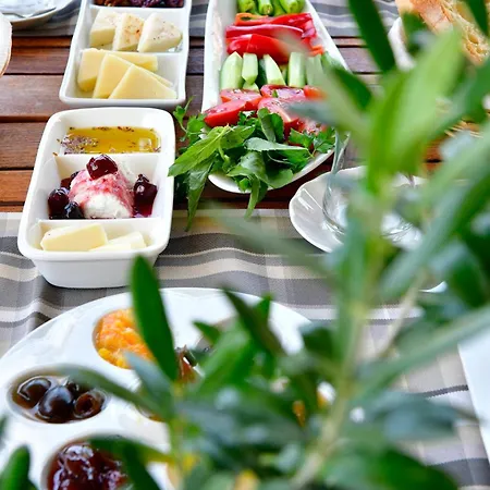 Siyah Lale Cunda 1841 (adults Only) فندق 2*