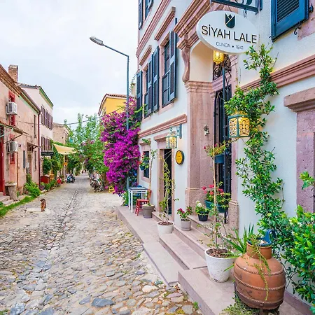 Siyah Lale Cunda 1841 (adults Only) فندق