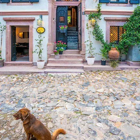 Siyah Lale Cunda 1841 (adults Only) فندق